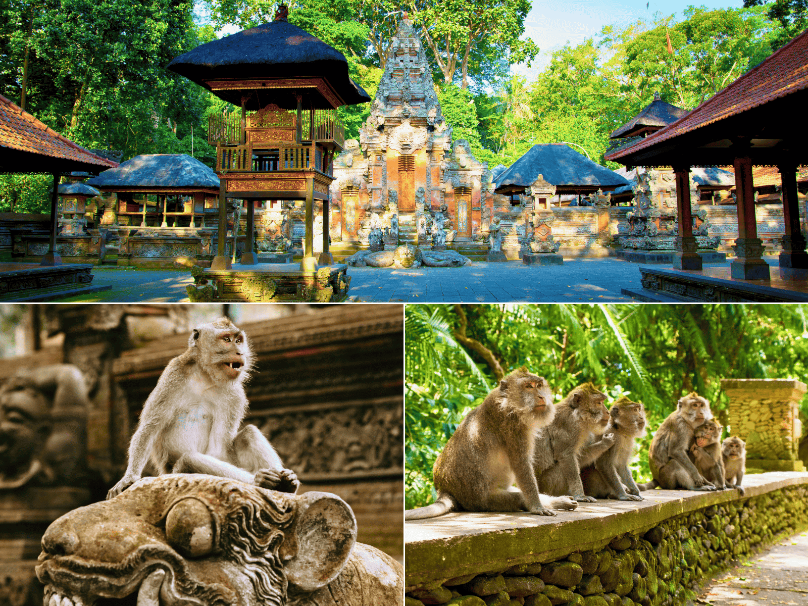 Balinese long-tailed macaques and ancient temples inside the Sacred Monkey Forest Sanctuary in Ubud, Bali