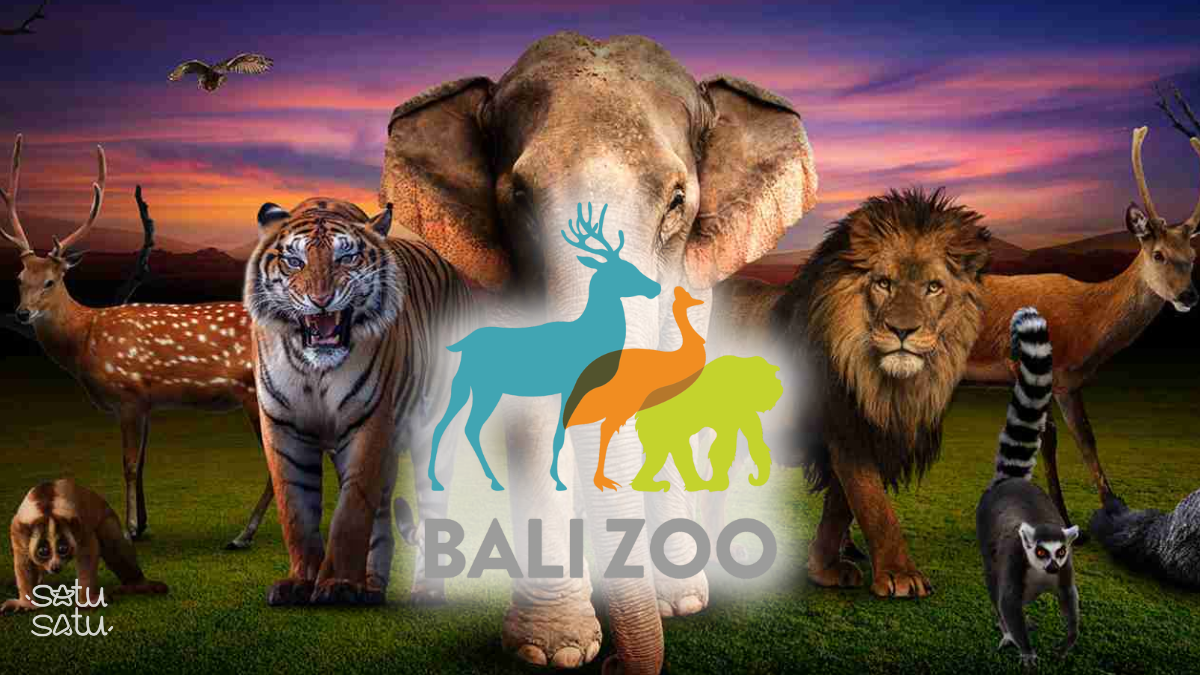 Collection of animals at Bali Zoo highlighting diverse wildlife experiences in Bali.