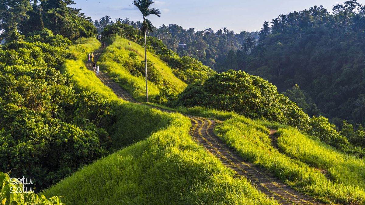 Distant view of Campuhan Ridge Walk in Ubud Bali with winding trail through lush green hills and tropical forest