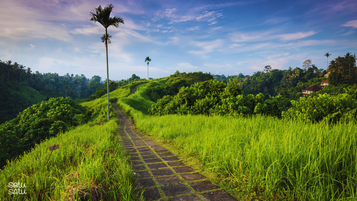 Scenic pathway at Campuhan Ridge Walk surrounded by lush green hills in Ubud, Bali