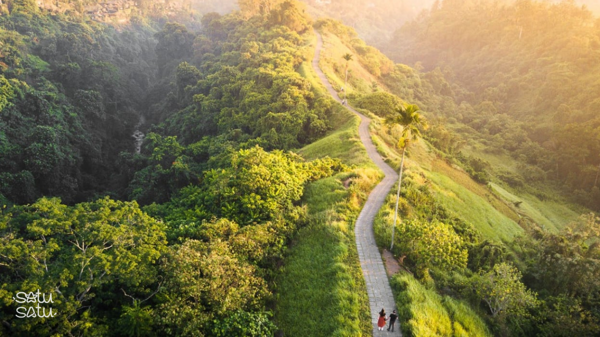 Scenic walking trail at Campuhan Ridge Walk in Ubud Bali surrounded by lush green hills during golden hour