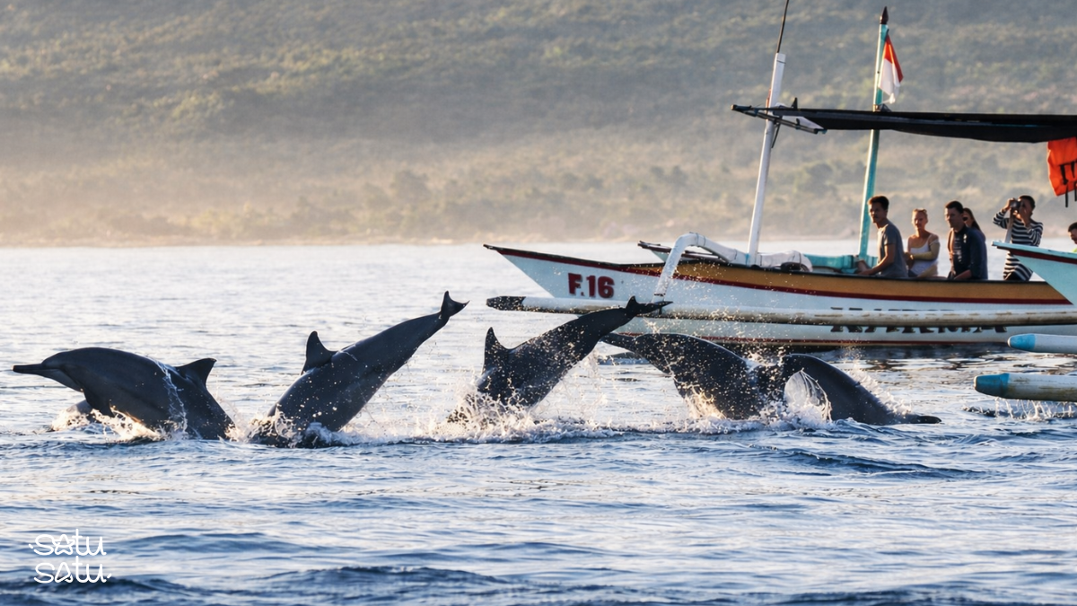 Dolphin watching tour at Lovina Beach, Bali, with travelers on a traditional boat observing dolphins swimming in the ocean.
