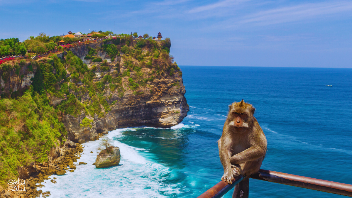 Monkey overlooking dramatic cliffs and the Indian Ocean near Uluwatu Temple in Bali