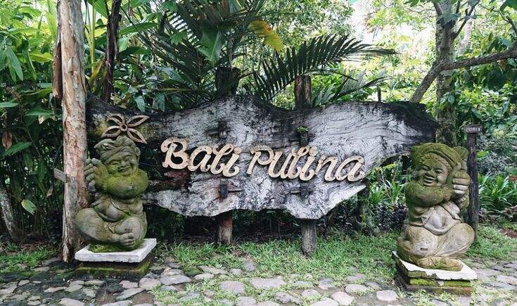 Bali Pulina