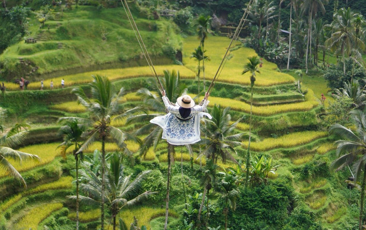 Bali swings