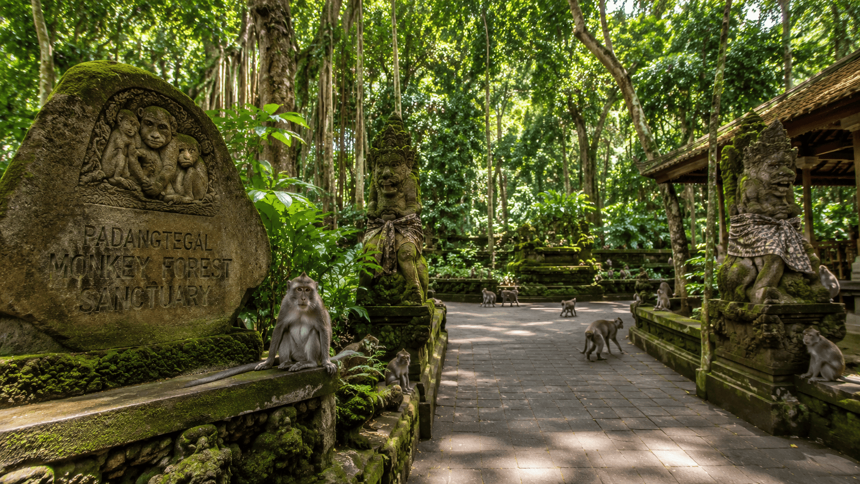 Sacred Monkey Forest Sanctuary