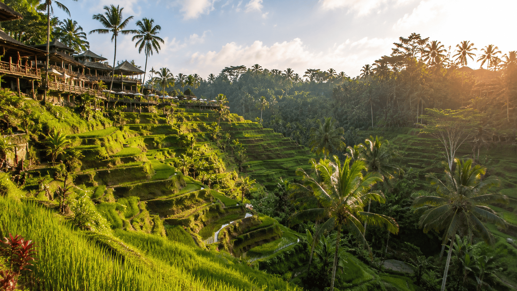 Tegallalang Rice Terraces