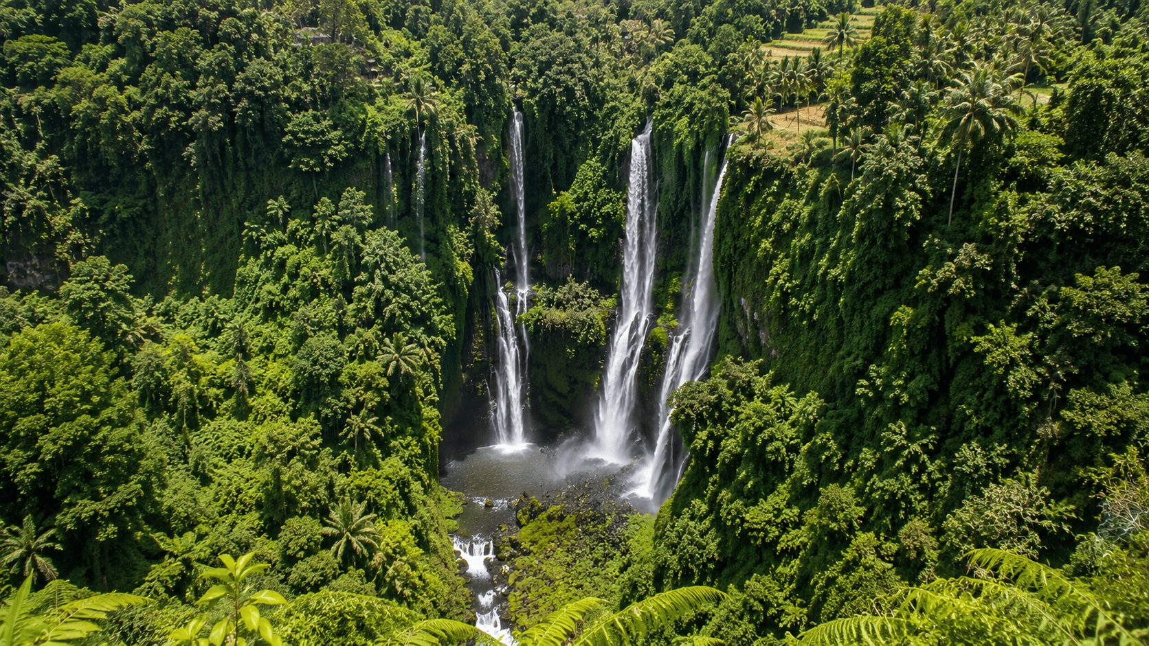 Sekumpul Waterfall Bali