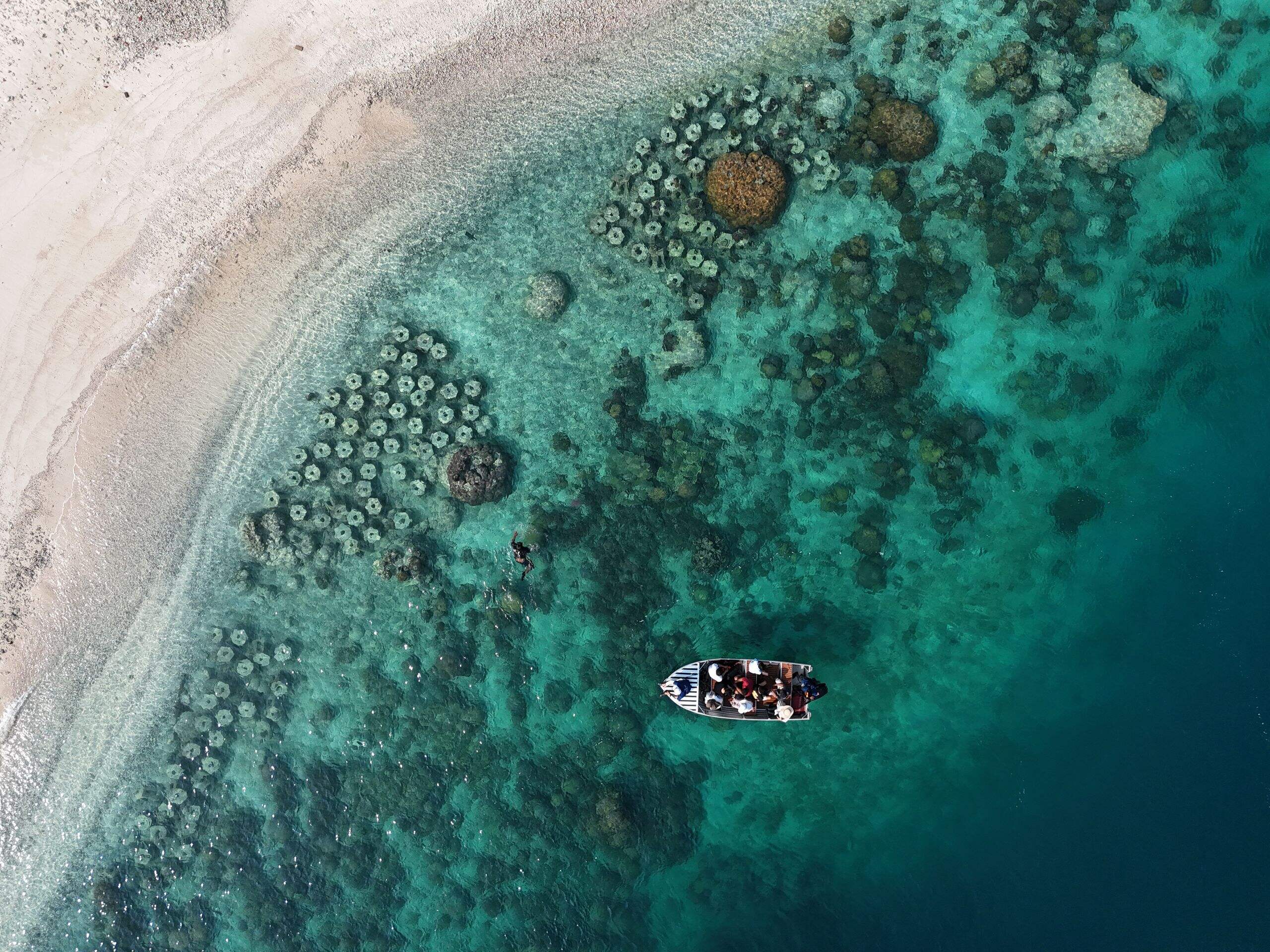 Biorock Reef Project